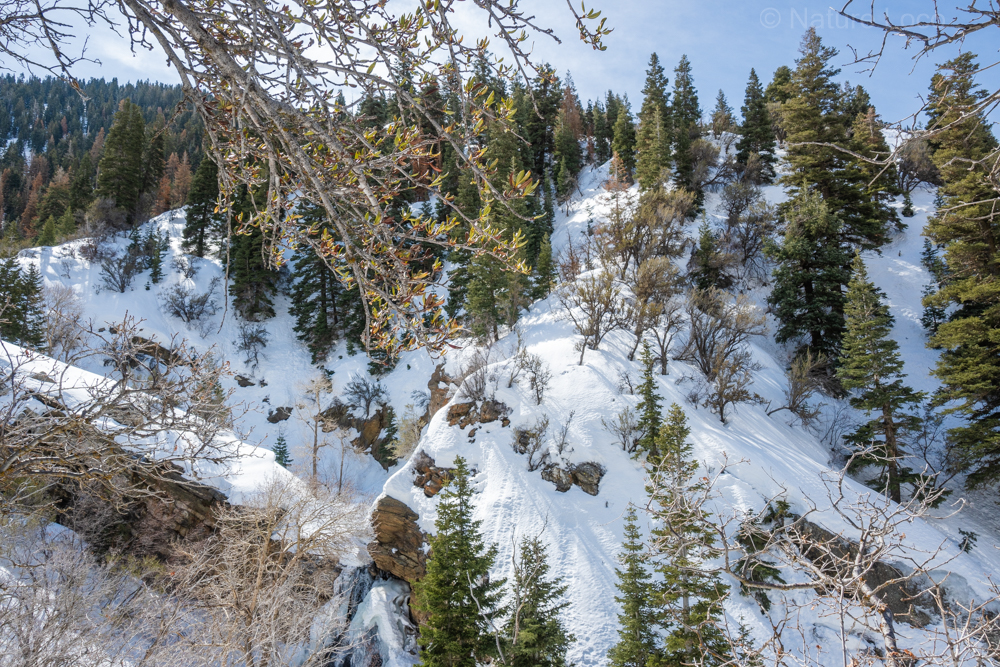 snowy mountain