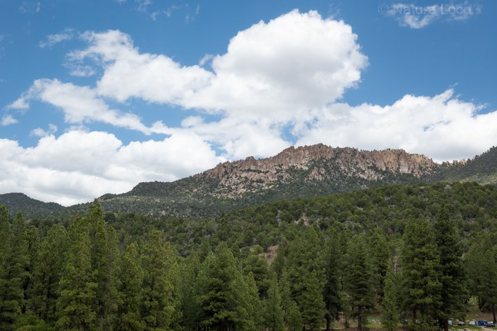 pine valley mountains