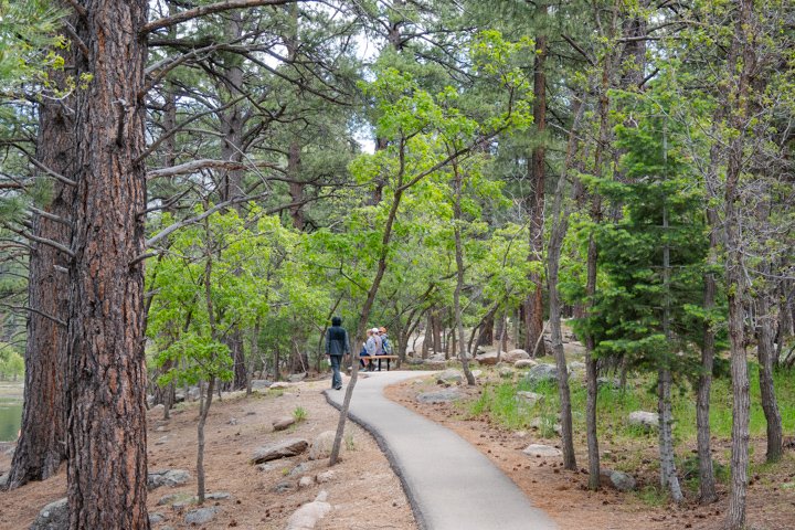 a paved trail going through the park