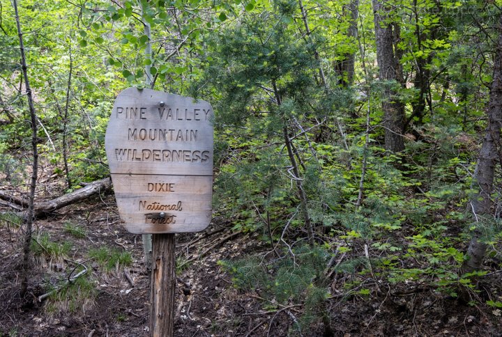 a post sign that says "pine valley mountain wilderness"